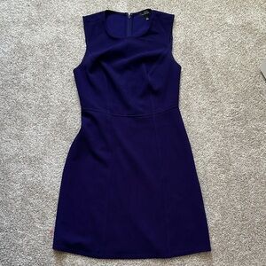 The Limited purple Mini Dress